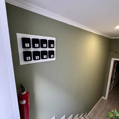 Better Choice 招待所